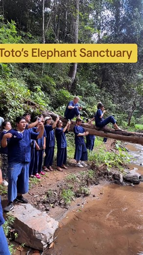 Toto Chiangmai Guide บน TikTok