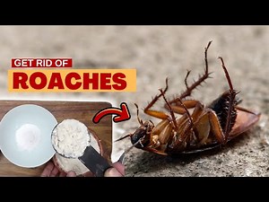 How to Get Rid of Roaches: Mastering Pest Control with Diatomaceous Earth, and Baking Soda