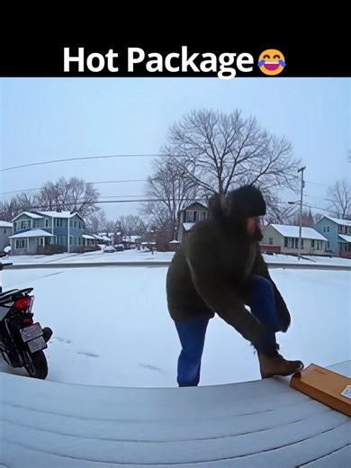 Burglary Fail: Snowy Day Security Camera Footage