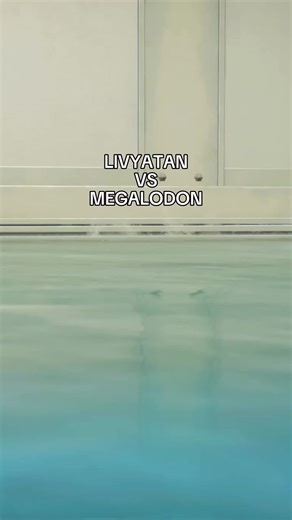 Livyatan vs Megalodon - Jurassic World Evolution 2. #jurassicworldrebirth #jurassicworld #dinosaur #livyatan #megalodon