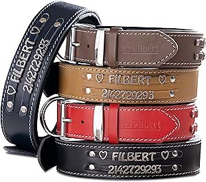 Filbert Personalized Leather Dog Collar with Name, Genuine Leather Dog Collar with Name Plate, Custom, Top-Notch Quality, Strong, Adjustable for All Breeds, Heavy Metal Buckle, for Large Dogs, Brown