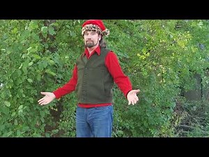 Filson Mackinaw Vest