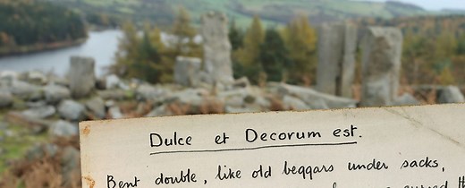 WW1: Has poetry distorted our view of the war?