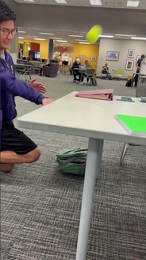 Dynamics Project: Projectile Motion