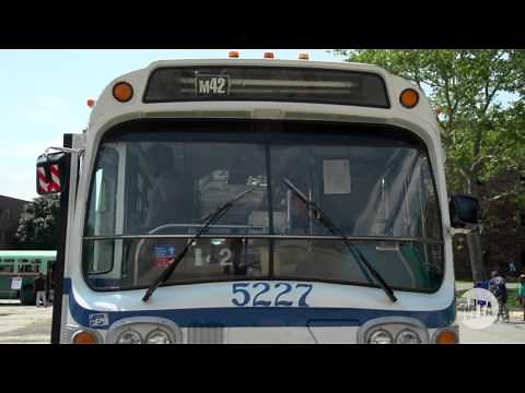 Vintage Bus Bash on Governor's Island