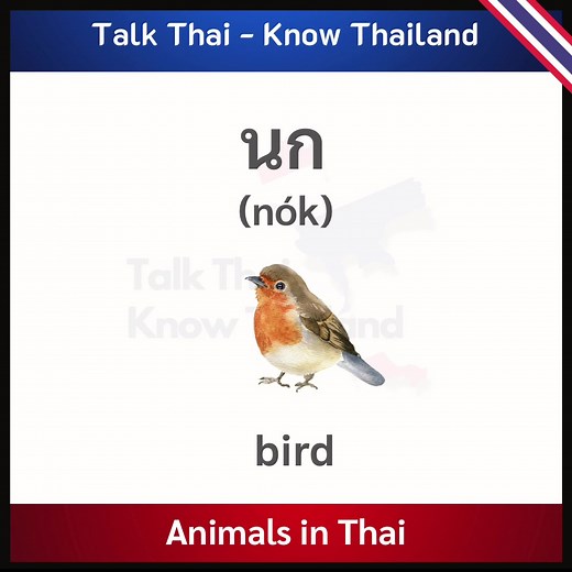 Animals in Thai Language: A Beginner's Guide