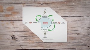 From Organic Matter to Renewable Energy: Unveiling the Power and Potential of Biomass