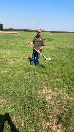 67K views · 406 reactions | We know we’ve been posting a lot about armyworms lately, but they have been a BIG problem in our area this year. Don’t let these little guys cost you your last cutting of hay. Check your fields now! | Precision Ag Services | Facebook