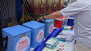 12K views · 153 reactions | 2-Month FMD Vaccination Drive Under NADCP...