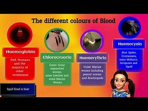 Why is squid blood blue? explained in 60 seconds | Educational video | Underwater creatures | squids