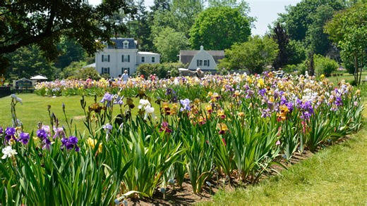 Explore New Jersey this spring: 10 botanical gardens and arboretums to visit