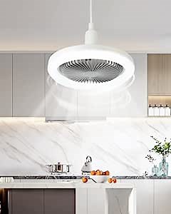 Dannilong Small Modern White Ceiling Fan with lights, Mini 10 "Low Profile Flush Mount Ceiling Fan with Light, Smart Bladeless Enclosed Led Ceiling Fan For Bedroom Kitchen Farmhouse. (Sliver)