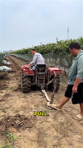 153K views · 571 reactions | Tree root removal. #TractorWork #FarmingTools #RootRemoval #AgricultureLife | Gizmo Trends | Facebook