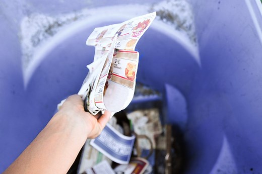 How To Kill Paper Mites - Hunker