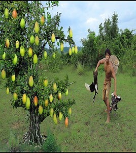 2.7K views · 67 reactions | duck hunting meets pear fruit,pear fruit grows by the forest ,duck survive in the mud | Quant-Amber TH | Facebook