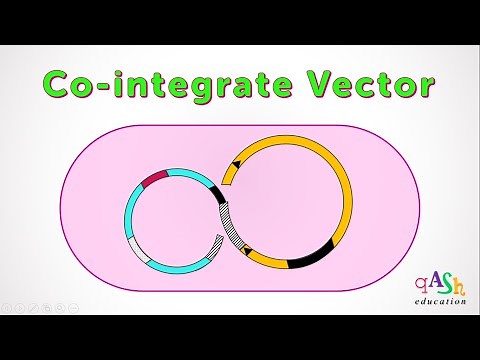 Cointegrate Vector | Agrobacterium | Transformation in plants | Ti plasmid | Biotechnology| BSc/MSc