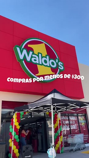 Todo por menos de $300 en Waldos