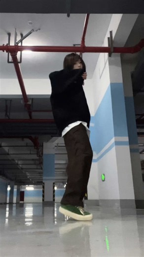 BTS: No More Dream Concert Highlights