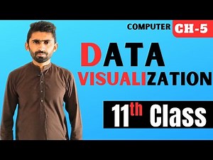 What is Data Visualization |11th Class Computer | Chapter 5: Data Analytics