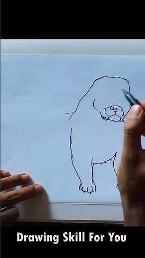 how to draw a pitbull,how to draw a pitbull dog