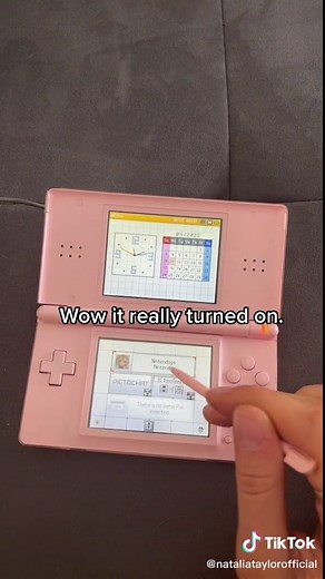 Checking on My Nintendogs Pug - Fun Nintendo Dog Game