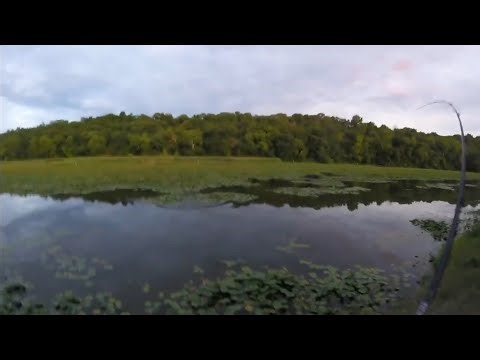 spro frog on 65lb powerpro