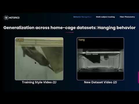 Generalization across home-cage datasets: Hanging behavior in Mice