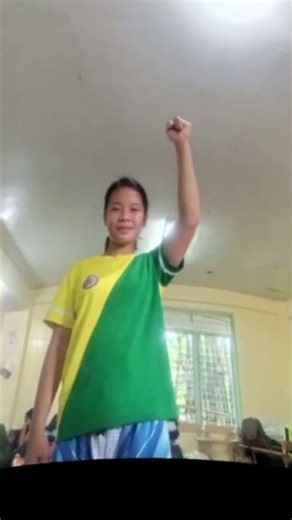 referee Hand signals