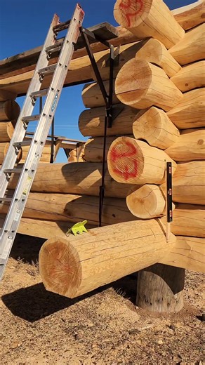 13 reactions | You could have this, too. 朗 #handcrafted #logcabin #customhome #logcabinliving #construction | R Log Haus | Facebook