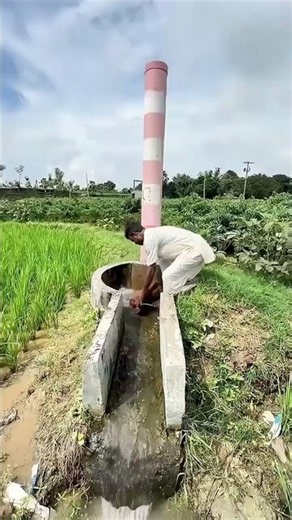 Artesian Well for Irrigation #irrigation #viral