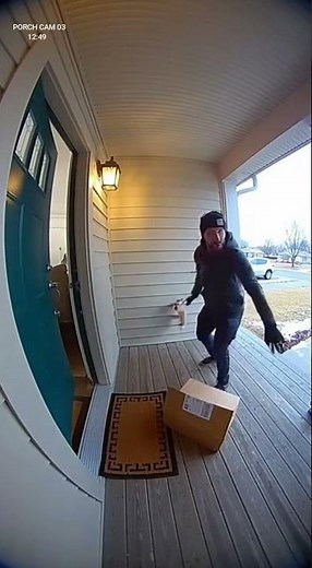 He Tried to Steal the Package — Then the Door Opened and the Dog Went Crazy