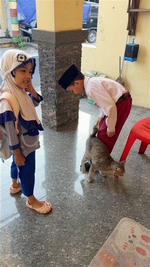 The Cat Wants to Go to School #funny #funny #school