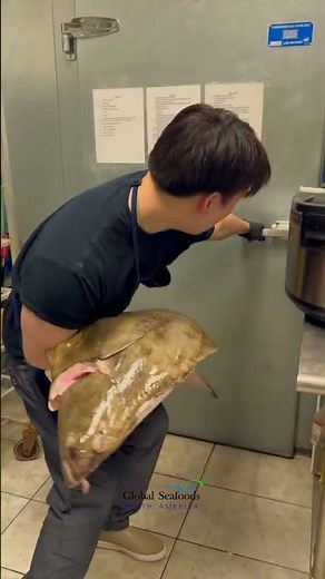 Fresh Alaskan Halibut Season Is Here | Order Wild Halibut Now