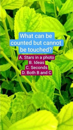 What can be counted but cannot be touched?