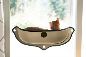 8 Cat Window Perches Where the Curious Indoor Kitty Can Kick-It