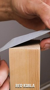 Perfect connection 🪵You can't go wrong | Red Koala