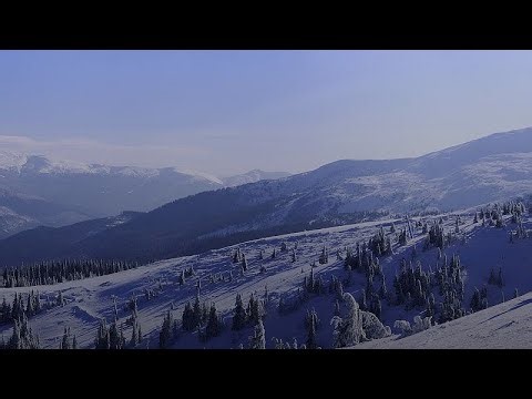 Video. Snow Forecast (2025/11/13)