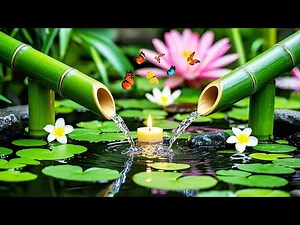 Relaxation Music: Bamboo Water Fountain & Healing Piano 🌿Deep Sleep Music, Meditation, Nature Sounds
