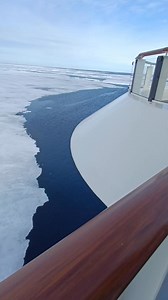 722K views · 10K reactions | KING OF THE NORTH ⬆️ LAKI NUNG PUTING OSO  #polarbear #arcticadventure #ARCTIC #wildlife #wildanimals #kingofthenorth #Expedition | John Philip Baet Tadique | Facebook