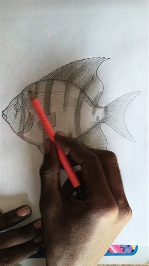 Beautiful Fish Drawing 🐟 | Easy Pencil Sketch #drawing #artvideo #trending