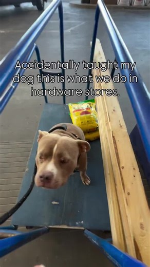 Hank's Professional Duties as a Site Manager