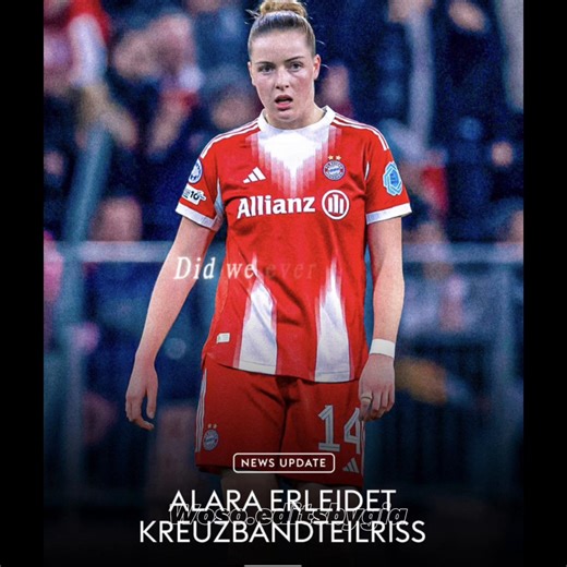 Supporting Alara Through Her Cruciate Ligament Injury