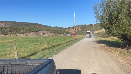 1755 sold today. We owe a big thanks to all our consigners and buyers. Our power went out quite a few times, and our crew and buyers kept the sale going. We are so thankful! We can't say enough about the great quailty of cattle that sold today. Our consigners have great breeding and vaccination programs, which is the best premium you can give yourself. We are very fortunate to get the opportunity to sell your cattle. Steers: Average to High 400# to 500# 5.15 to 5.36 500# to 600# 4.65 to 5.00 600