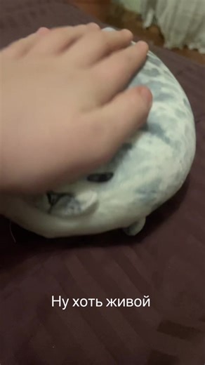 NutriX_MT (@nutrix_mostransport)’s videos with milk cassette x.mp3 - analog_mannequin