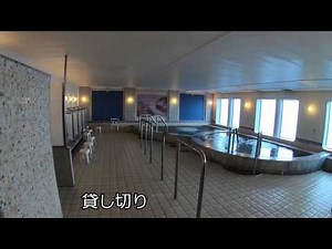 太平洋フェリー「いしかり」(名古屋～苫小牧)40時間の旅