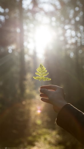 Laura Stornini - Donde dejás de repetir y empezás a crear on Instagram: "A veces no necesitás grandes rituales. Necesitás pequeños gestos conscientes que te ayuden a volver a vos, a descargar lo que no es tuyo y a proteger tu energía 💫 🧂 Agua con sal gruesa para soltar lo acumulado 🩹 Curita en el ombligo como anclaje y escudo energético antes de salir 🧿 Ojo turco para desviar miradas densas 🌿 Ruda para cuidar la energía del hogar 🍋 Limón para limpiar, renovar y absorber lo pesado Son herra