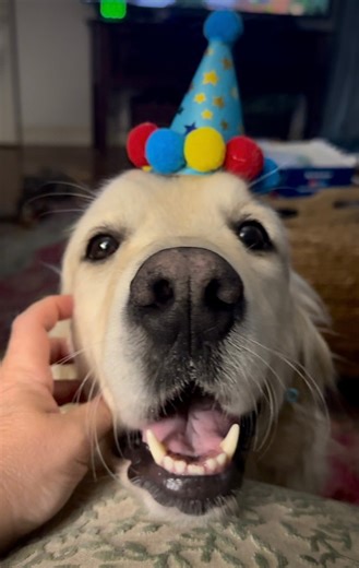 Dis Bubba Model Hat, Polly Humps, and Lisa Laugh | Along Came Polly, Rosie and Bubba