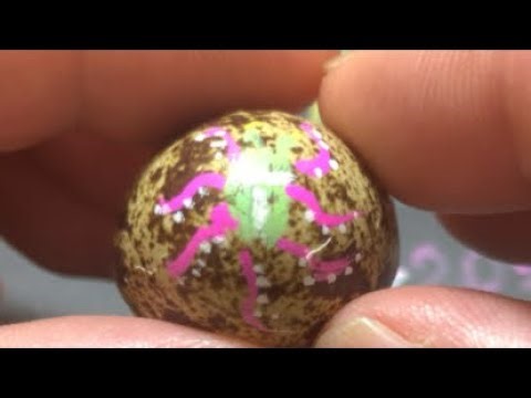 raw egg peeling! alien technic！ TPP