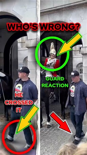 Tourist vs Royal Guard — Who’s Wrong?