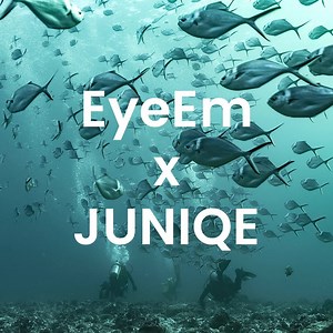 EyeEm x JUNIQE For our latest collaboration, we teamed up with the global photography brand EyeEm to bring you a curated selection of some of their community’s most stunning images. Think palmy beaches and aqua coastlines, azure skies and gelato tones in a Miami Vice-inspired palette that oozes summer vibes. http://fal.cn/EyeEm_Juniqe | JUNIQE